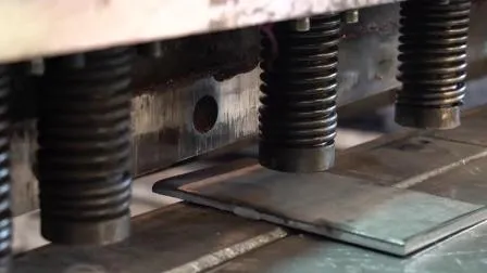 완전 자동 가금류 농장 건물 장비 닭장 공급 시스템